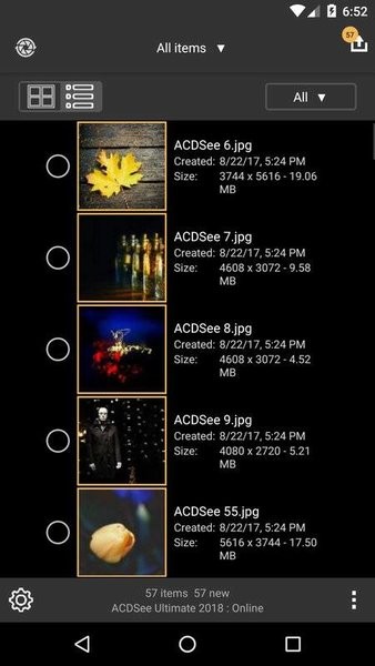 acdsee3.0 破解版