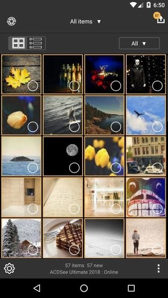 acdsee3.0 破解版