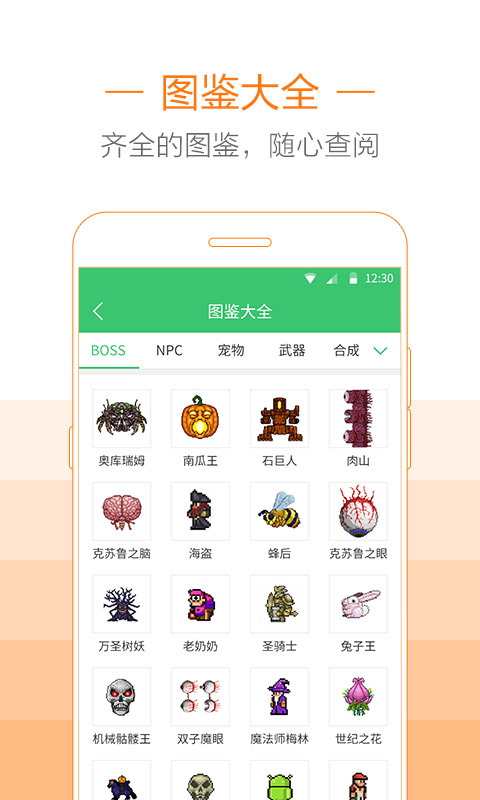 泰拉瑞亚助手盒子破解版