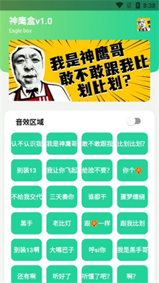 神鹰盒破解版