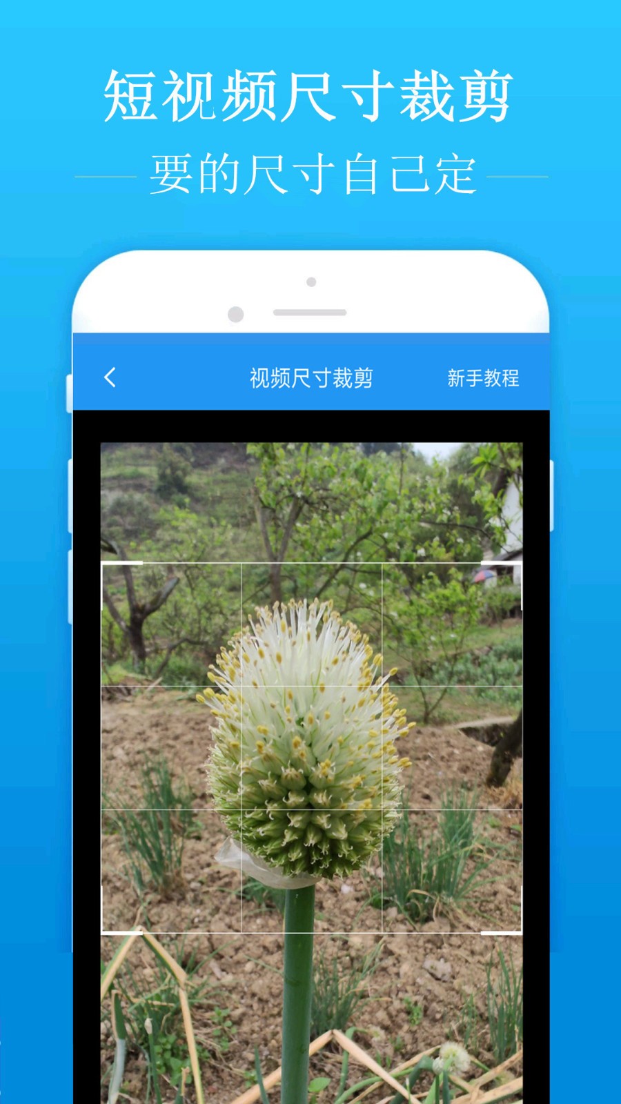 去水印吧 1.8破解版