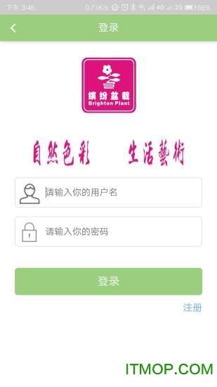 缤纷盆栽网上销售平台