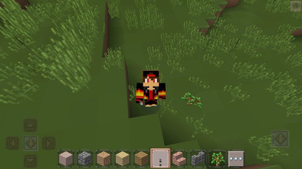 我的新世界中文版