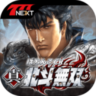 真·北斗无双器