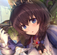 圣骑士莉卡物语