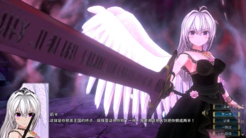 圣骑士莉卡物语