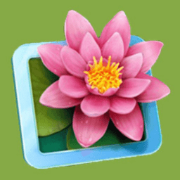 花朵消消乐小游戏