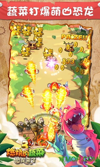 燃烧的蔬菜3手机游戏