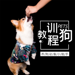 训狗教程APP