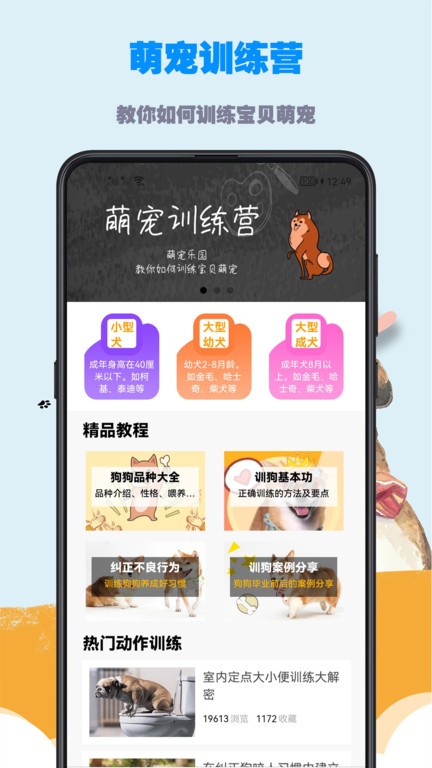 训狗教程APP