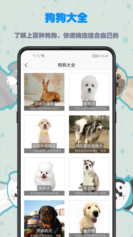 训狗教程APP