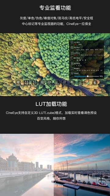 AccsoonA1致迅稳定器app