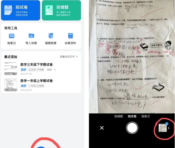 蜜蜂试卷免费版