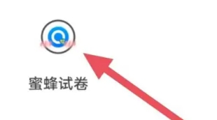 蜜蜂试卷免费版