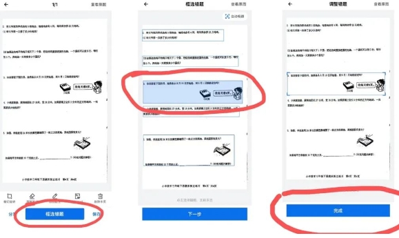 蜜蜂试卷免费版