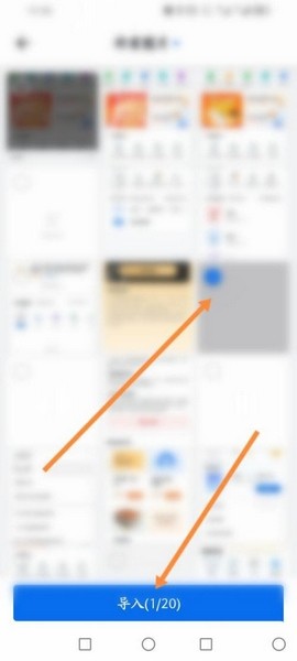 蜜蜂试卷免费版