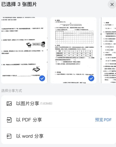 蜜蜂试卷免费版