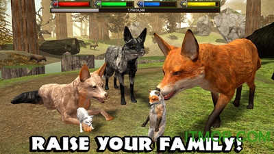 终极狐狸模拟器无限血