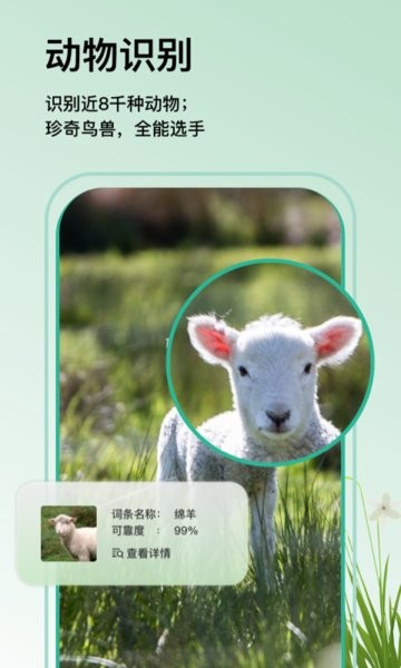 万物识图app