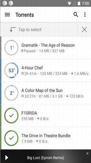 比特彗星手机汉化版app