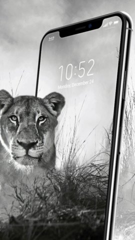 4d动态壁纸(4D Live Wallpaper)