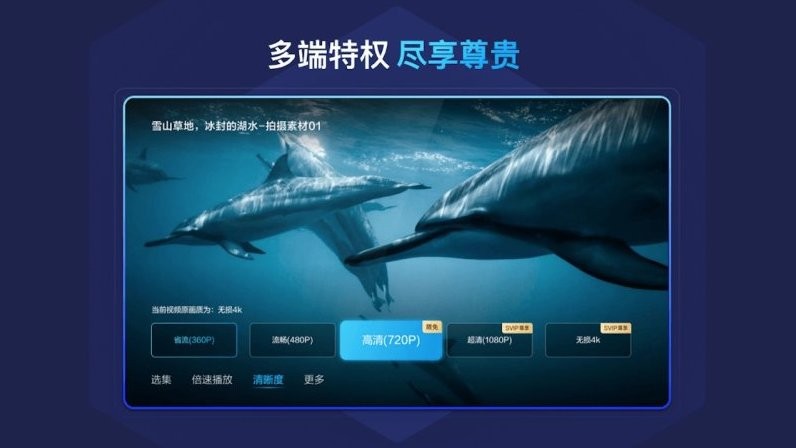 百度网盘tv版官方版