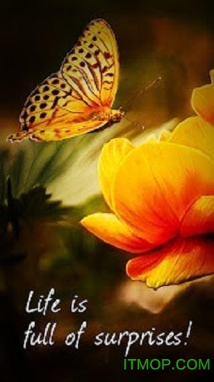 PicsPlay Pro中文版