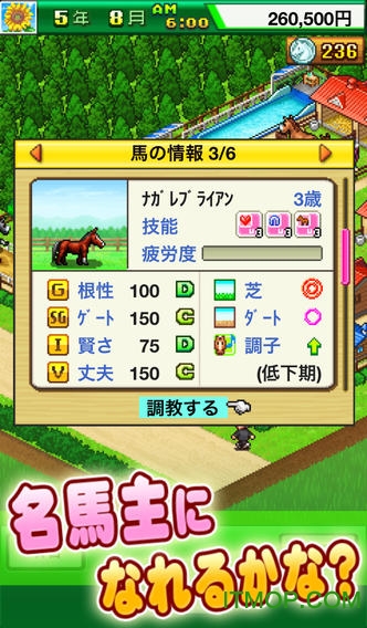 顶级跑马牧场汉化破解版