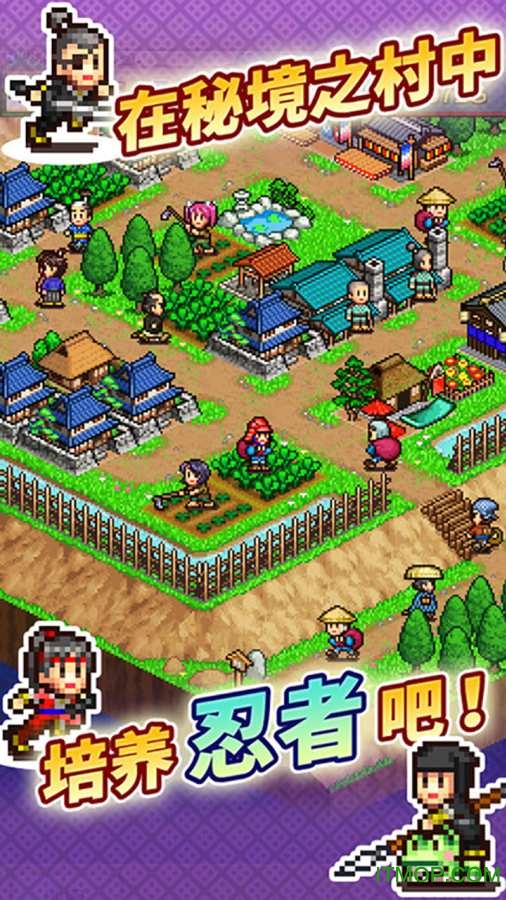 开罗合战忍者村物语最新版