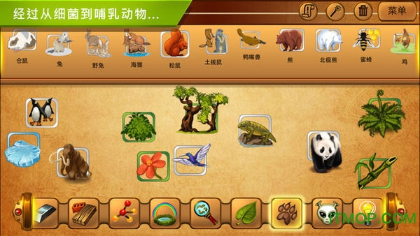 炼金术alchemy中文版