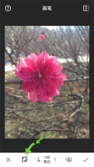 snapseed手機app安裝官方正版下載-snapseed下載安裝2024安卓最新版v2.22.0.633363