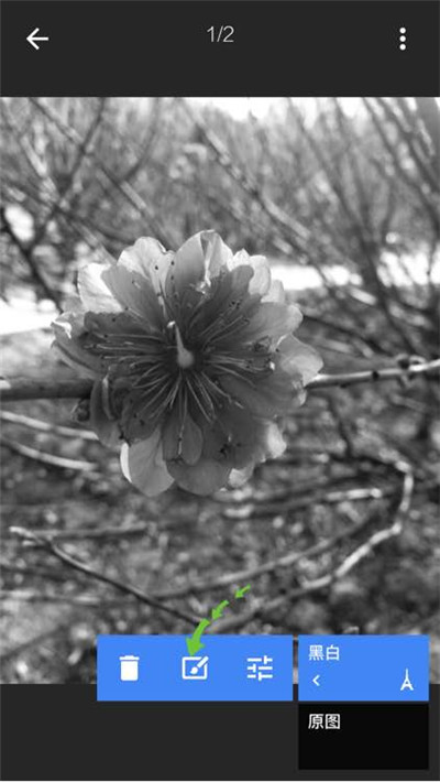 snapseed手機app安裝官方正版下載-snapseed下載安裝2024安卓最新版v2.22.0.633363