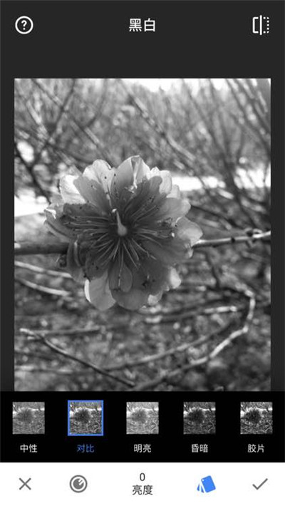 snapseed手機app安裝官方正版下載-snapseed下載安裝2024安卓最新版v2.22.0.633363