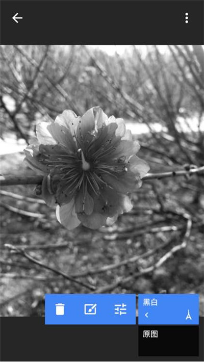 snapseed手機app安裝官方正版下載-snapseed下載安裝2024安卓最新版v2.22.0.633363