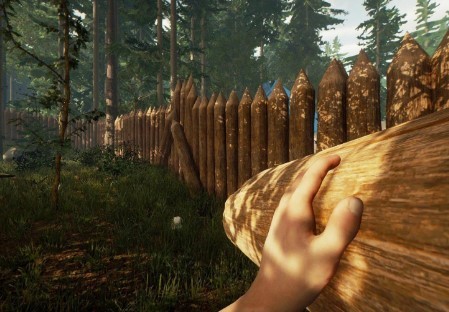 荒岛的王安卓正版版