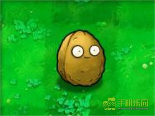 植物大战僵尸经典原版部分植物和僵尸介绍