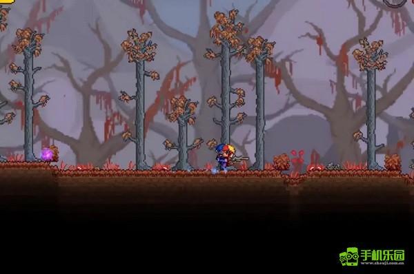 泰拉瑞亚国服新手攻略