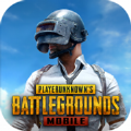 pubg地铁逃生国际服下载2.5最新版本