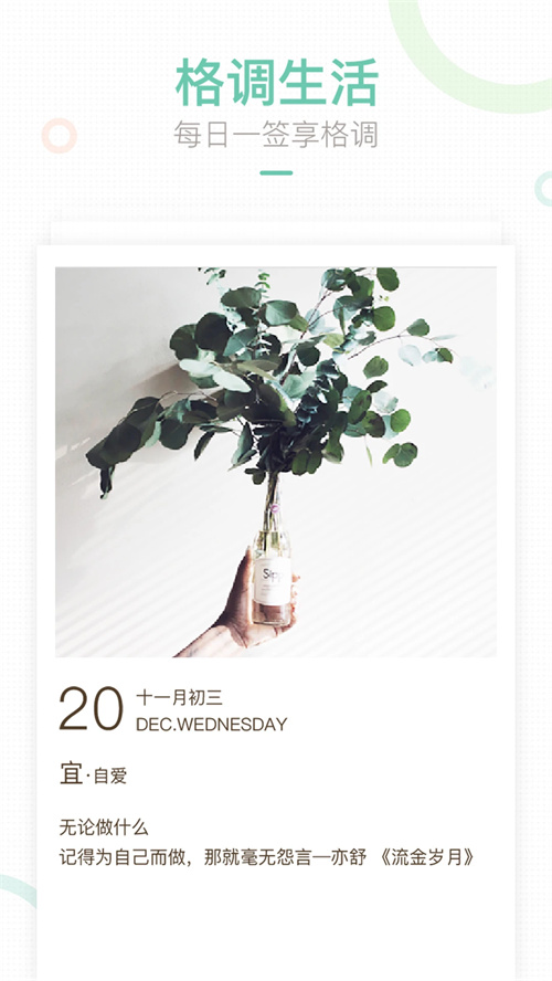 妈妈网轻聊官方版