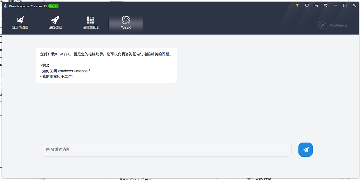 Wise Registry Cleaner