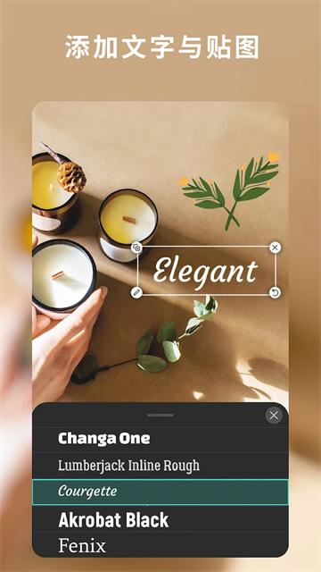 PhotoDirector破解版