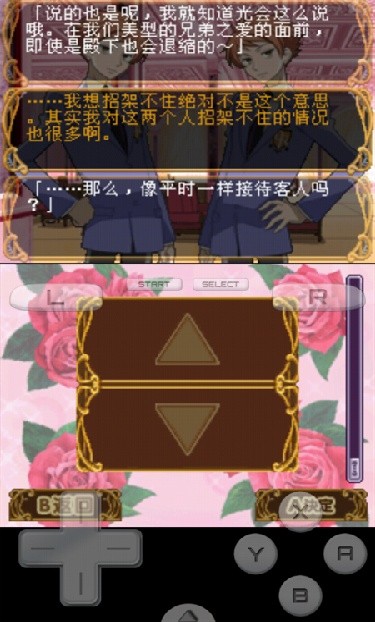 樱兰高校男公关部游戏