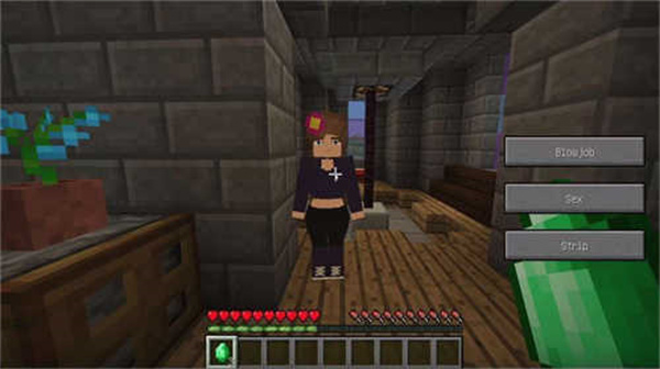 珍妮模组手机版