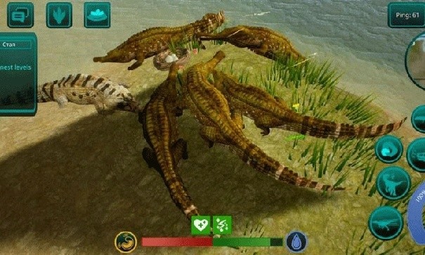 诅咒之岛辅助菜单