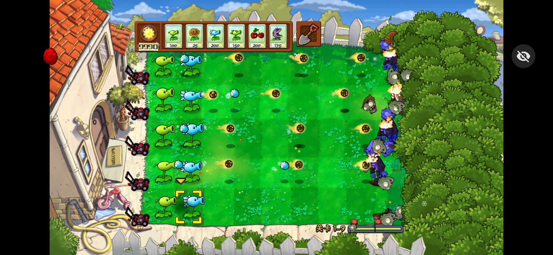 植物大战僵尸活死人之园