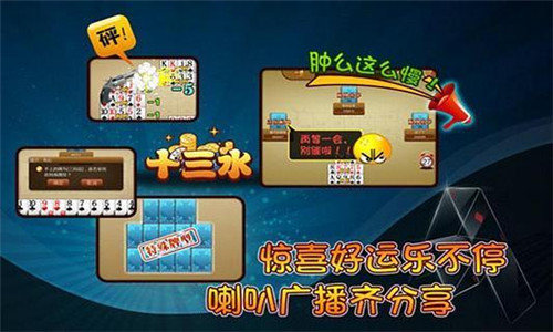 安岳长牌飞二五