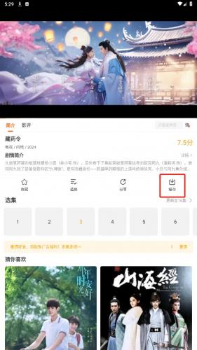 風箏影評官方正版