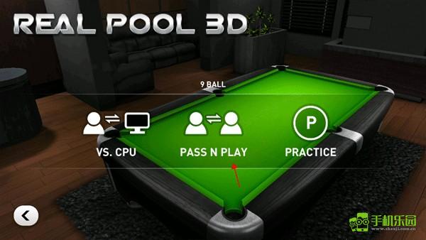 RealPool3D图片7