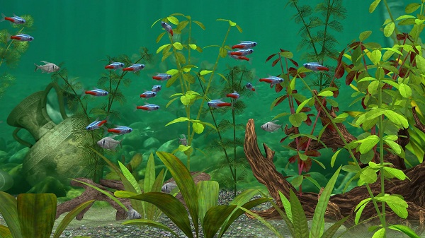 养鱼场3中文版(Fish Farm 3)