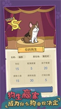 狗生模拟器中文版